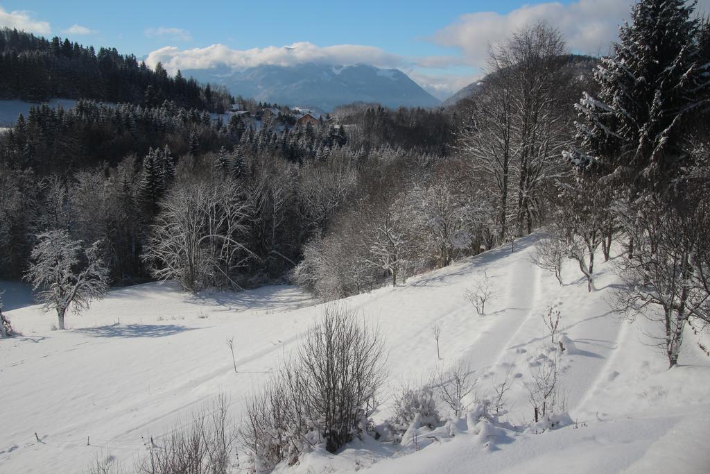 Chalet Eterlou Mégevette 외부 사진