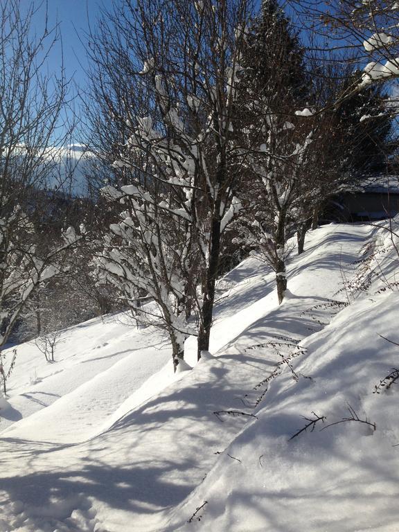 Chalet Eterlou Mégevette 외부 사진